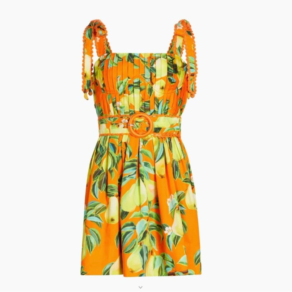 FARM Rio Chic Pears Mini Dress - Picture 6 of 12